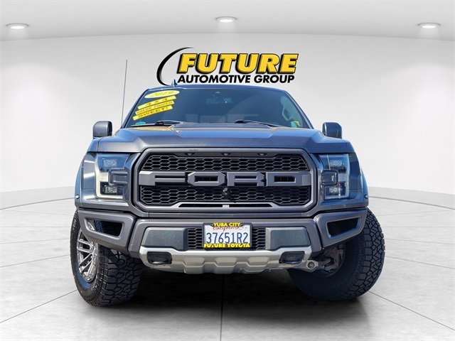2019 Ford F-150 Raptor photo 2