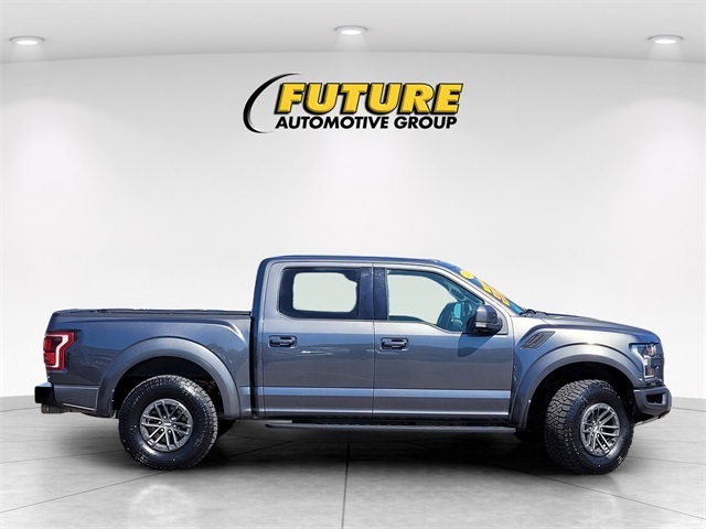 2019 Ford F-150 Raptor photo 3