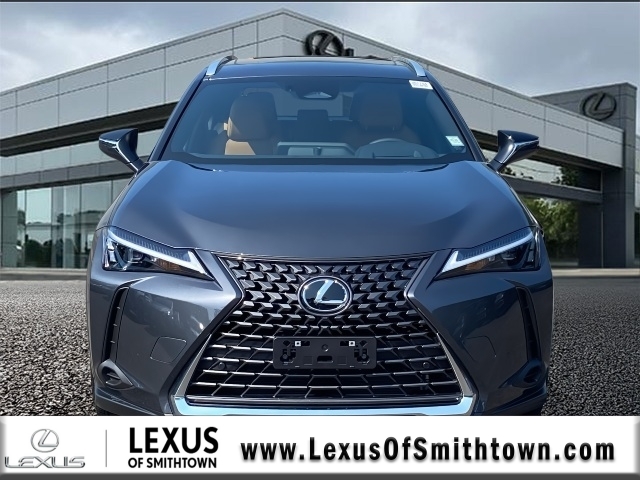 2025 Lexus UX Premium photo 2