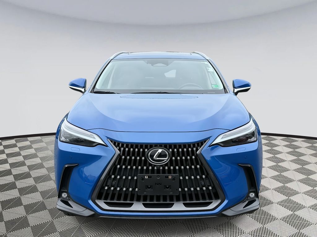 2022 Lexus NX 450h+ Luxury photo 6