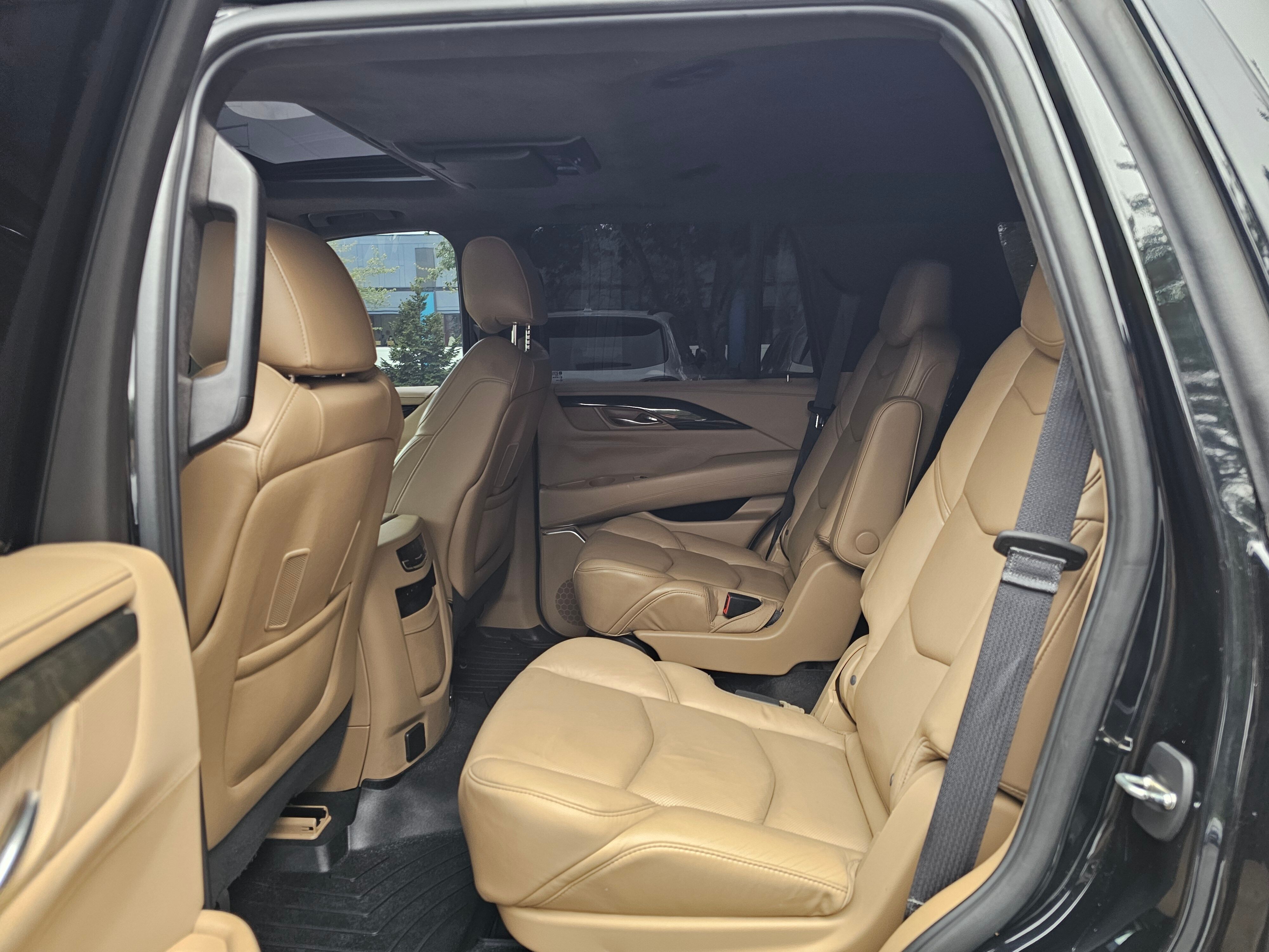 2020 Cadillac Escalade Platinum photo 3