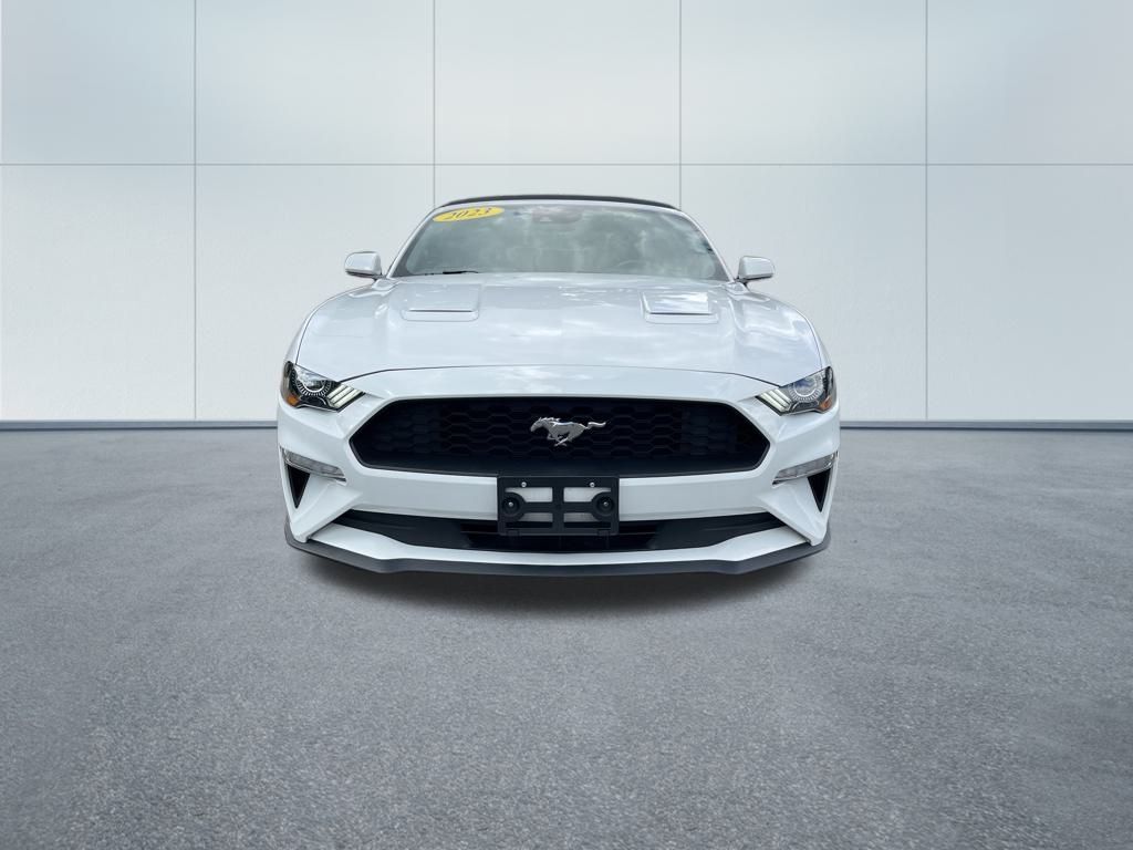 2023 Ford Mustang EcoBoost Premium photo 3