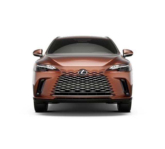 2025 Lexus RX 350 Premium AWD photo 4