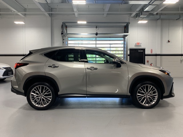 2025 Lexus NX 350 Premium photo 6