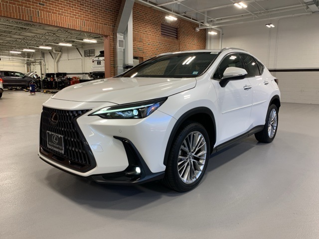 2022 Lexus NX 350h Premium photo 4