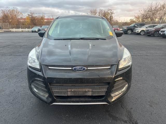 2015 Ford Escape SE photo 2