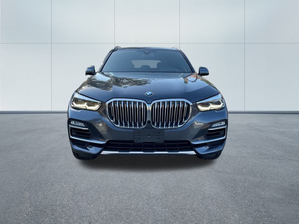 2019 Bmw X5 xDrive40i photo 2