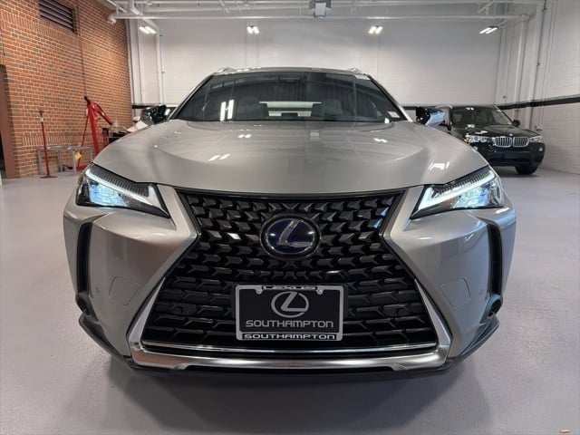 2021 Lexus UX 250h photo 2