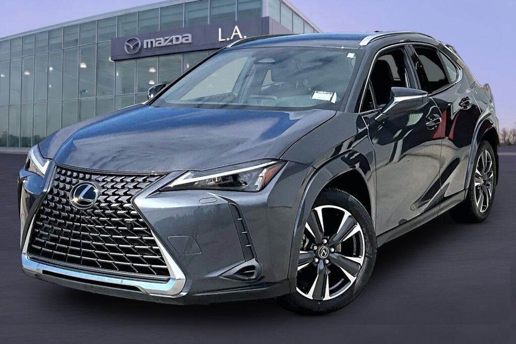 2025 Lexus UX Hybrid 300h AWD