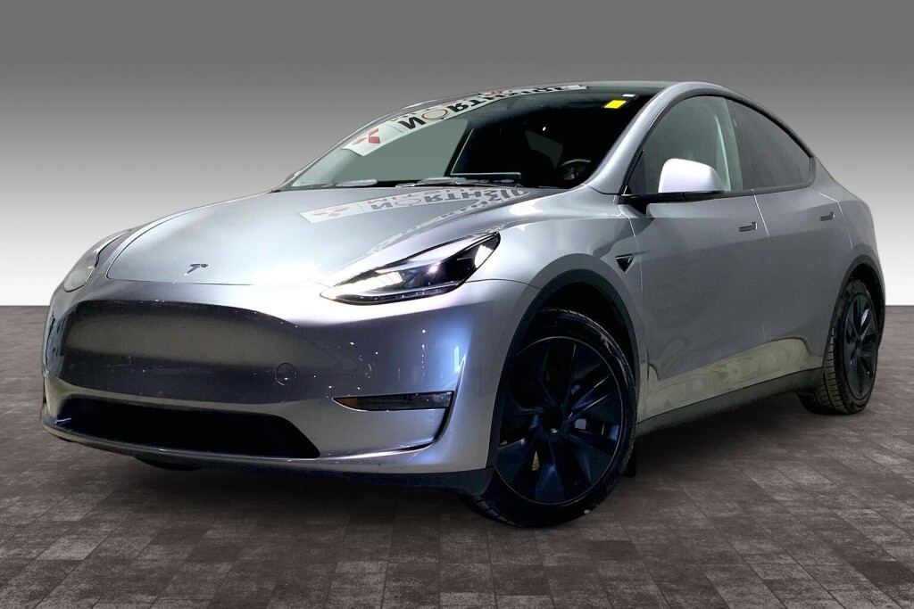 Gray 2025 Tesla Model Y SUV / Crossover All-Wheel Drive Automatic