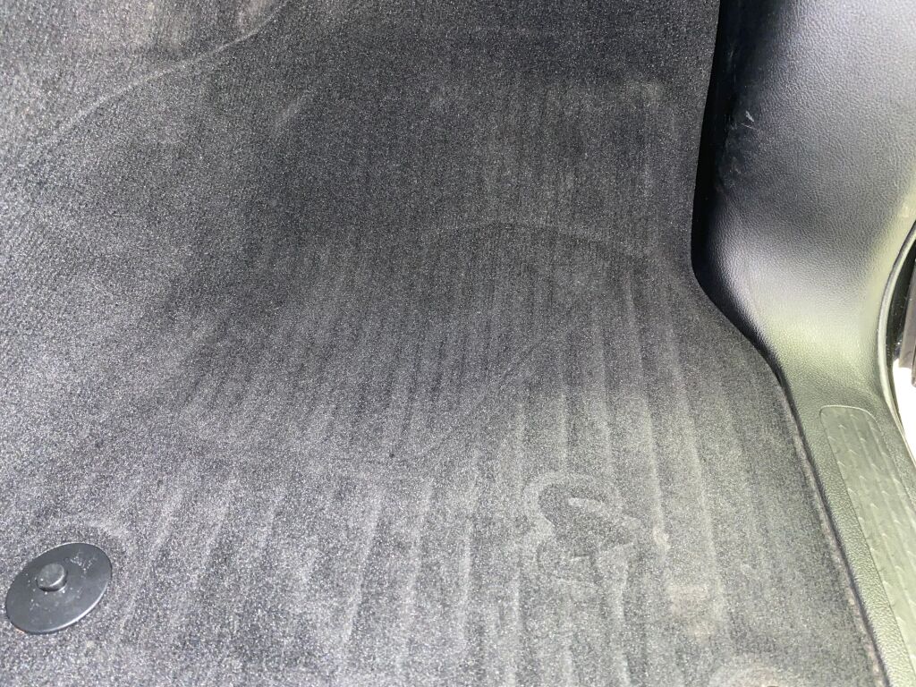 2019 Ram 1500 Big Horn/Lone Star Black Forest Green Pearlcoat at Luther Ford