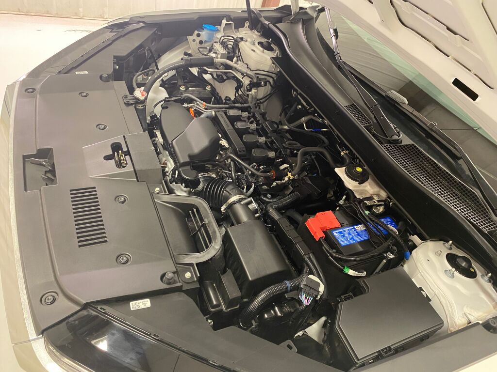 2025 Honda CR-V EX-L Platinum White Pearl at Rochrich Mazda