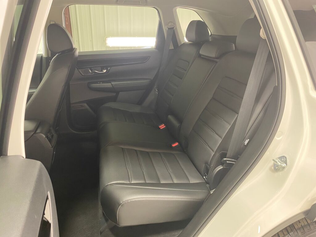 2025 Honda CR-V EX-L Platinum White Pearl at Rochrich Mazda