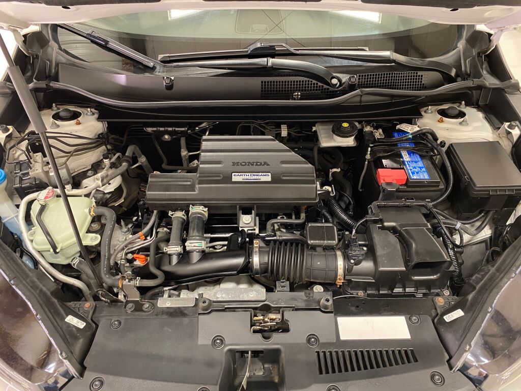 2020 Honda CR-V EX Platinum White Pearl at Bob Ruth Ford