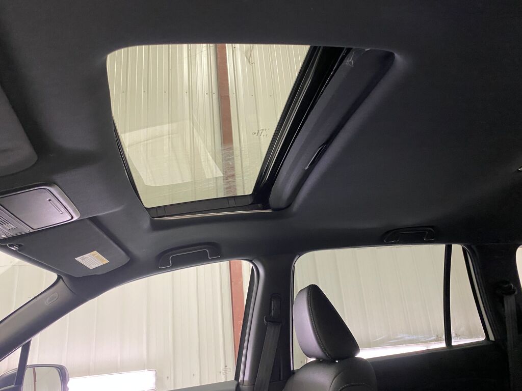 2023 Honda Passport EX-L Platinum White Pearl at Honda North
