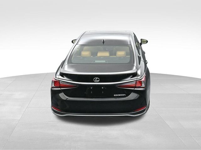 2024 Lexus ES 300h Base