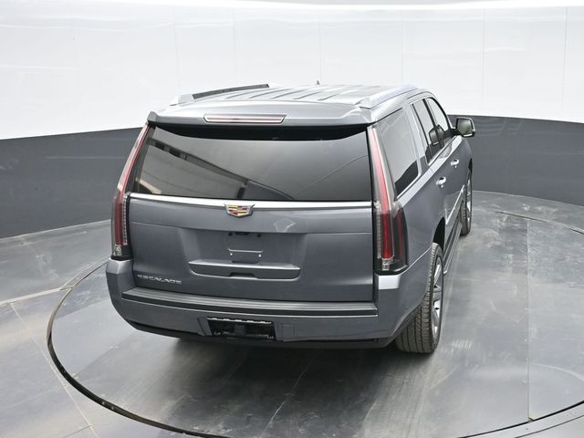 2019 Cadillac Escalade Luxury