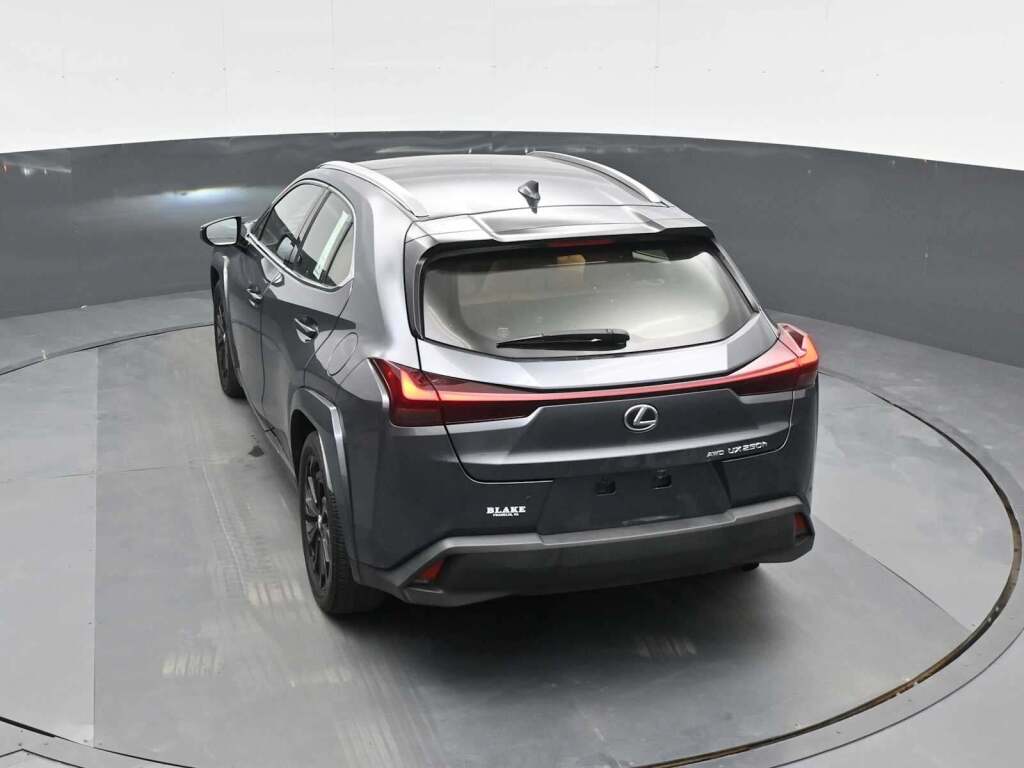 2024 Lexus UX 250h Premium