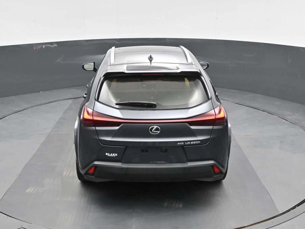 2024 Lexus UX 250h Premium