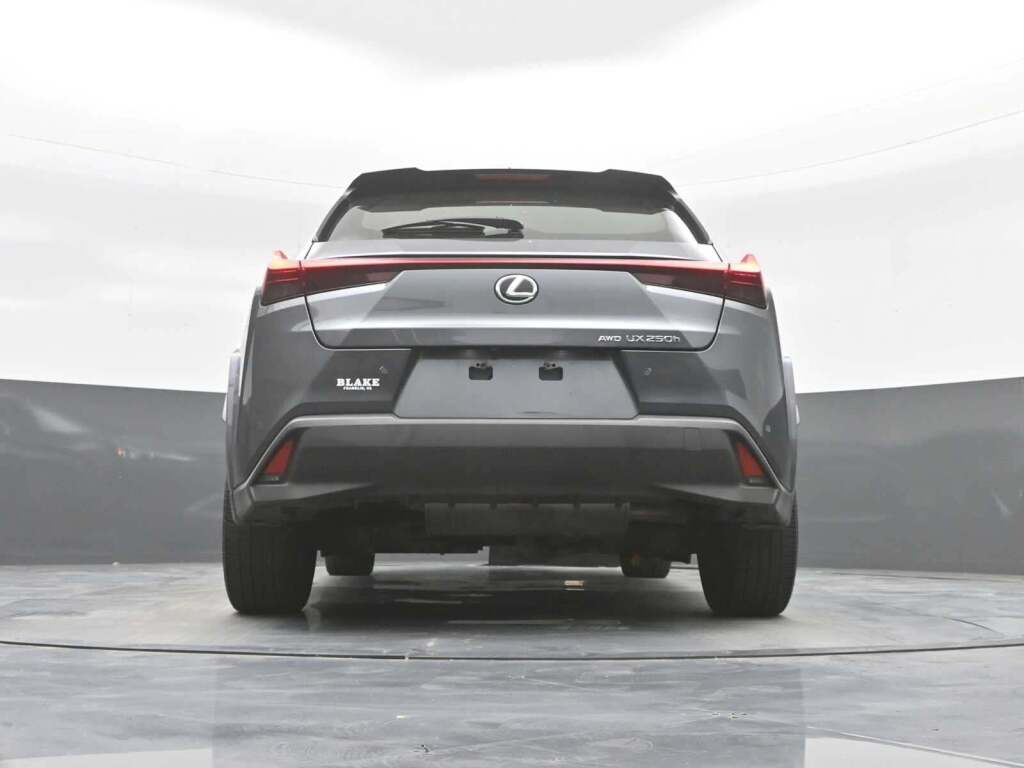 2024 Lexus UX 250h Premium