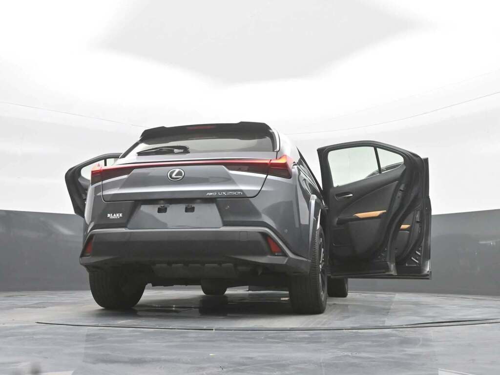2024 Lexus UX 250h Premium