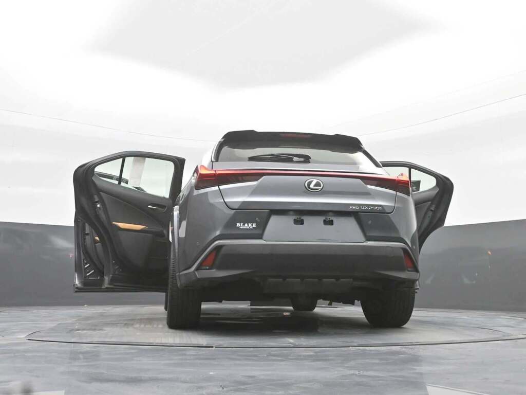 2024 Lexus UX 250h Premium
