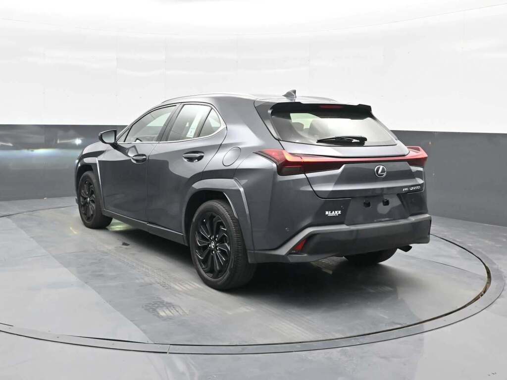 2024 Lexus UX 250h Premium