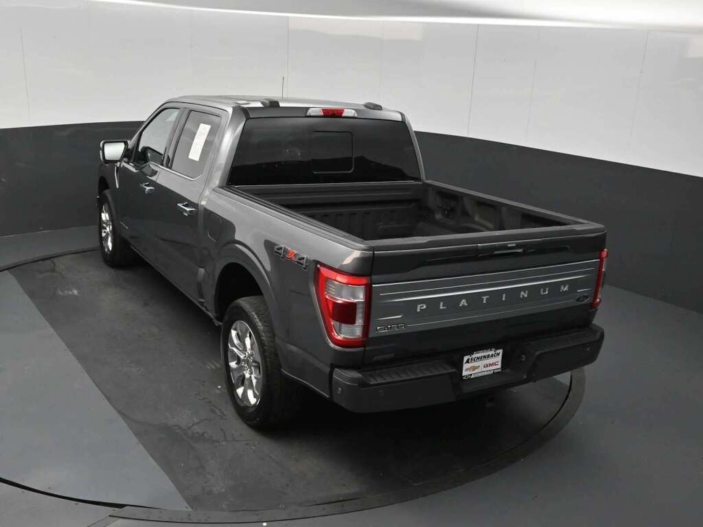 2022 Ford F-150 Platinum