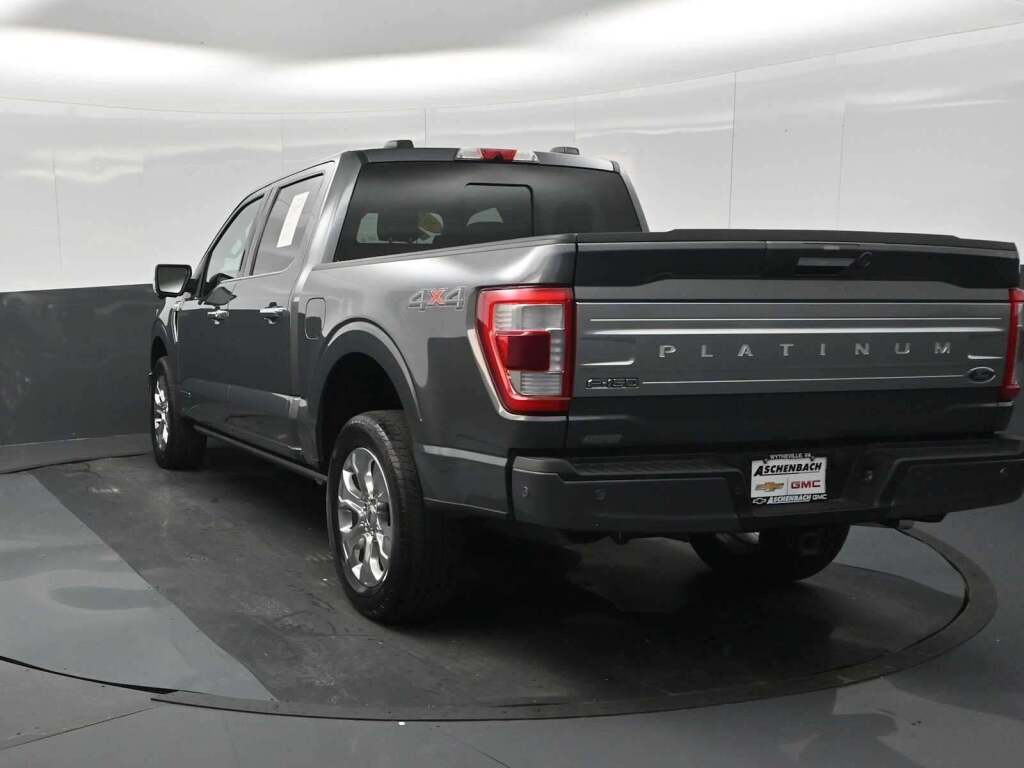 2022 Ford F-150 Platinum