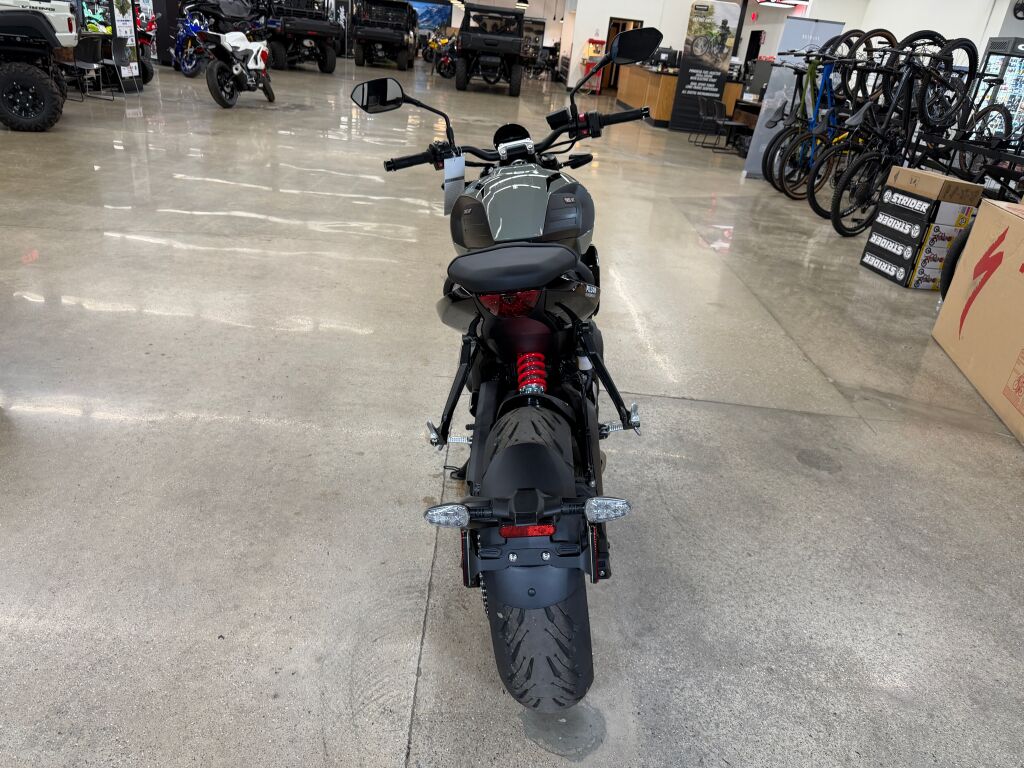 2026 Triumph Trident 660 Stone grey