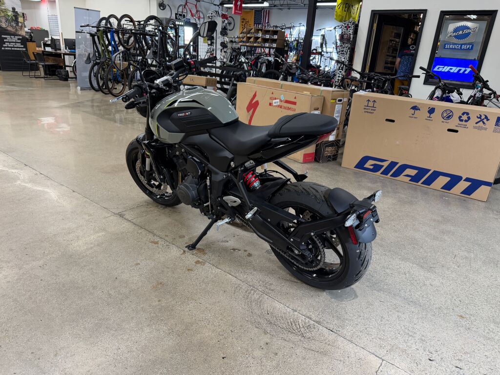 2026 Triumph Trident 660 Stone grey