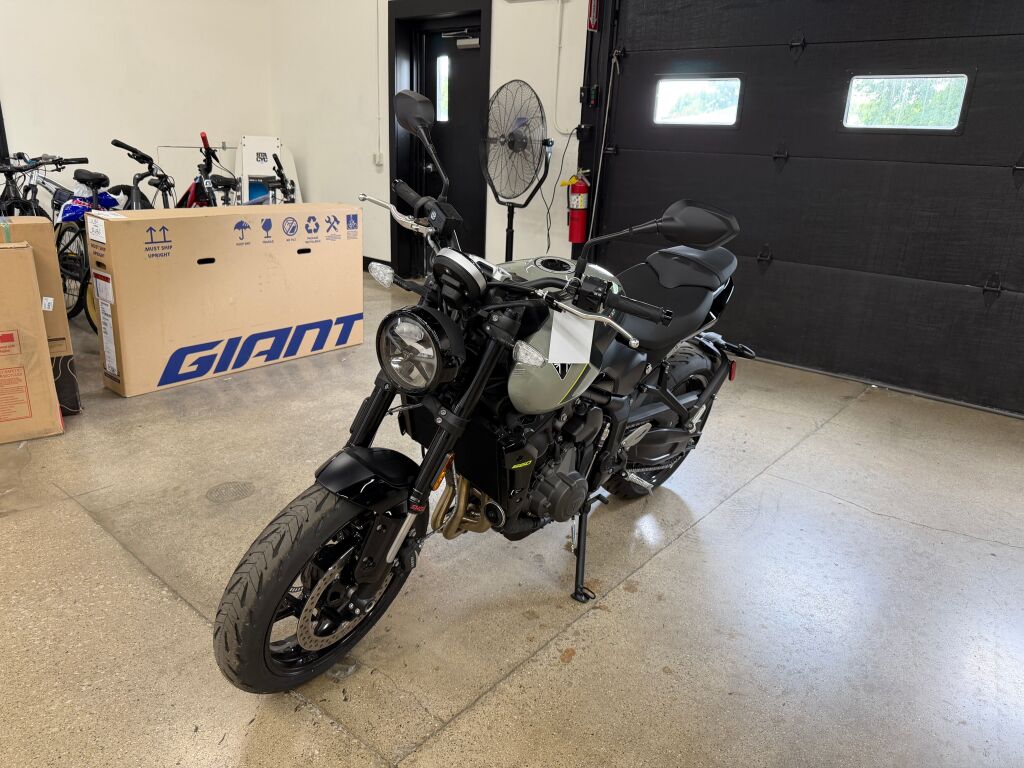 2026 Triumph Trident 660 Stone grey