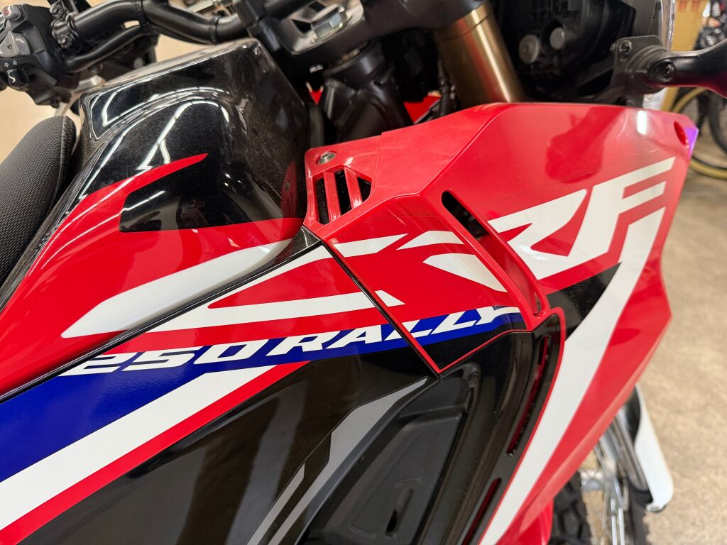 2020 Honda CRF 250L Rally ABS